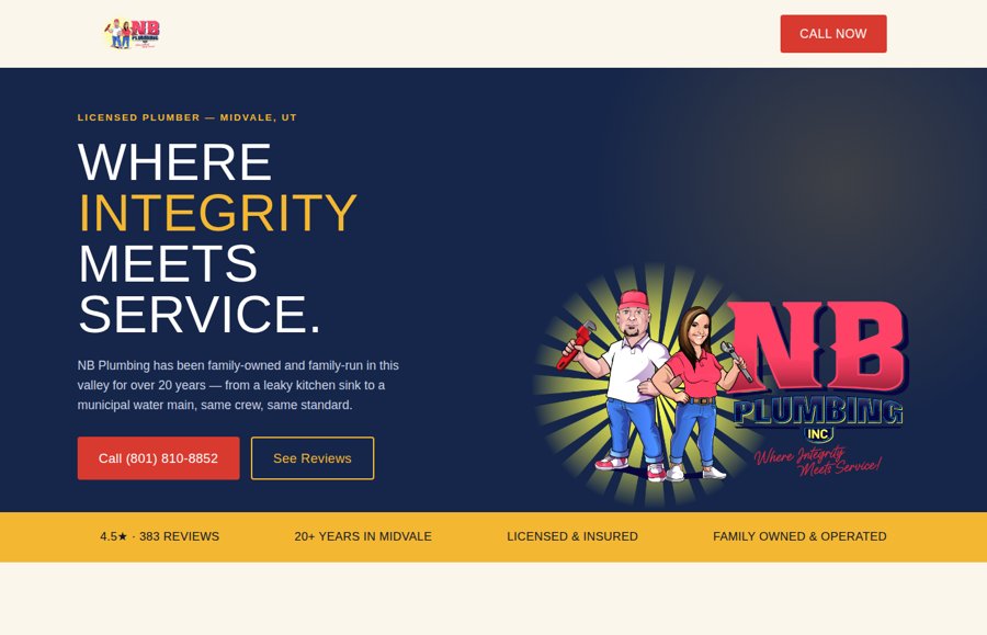 Plumbing company website concept